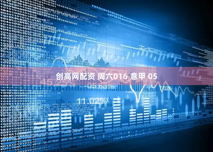 创高网配资 周六016 意甲 05
